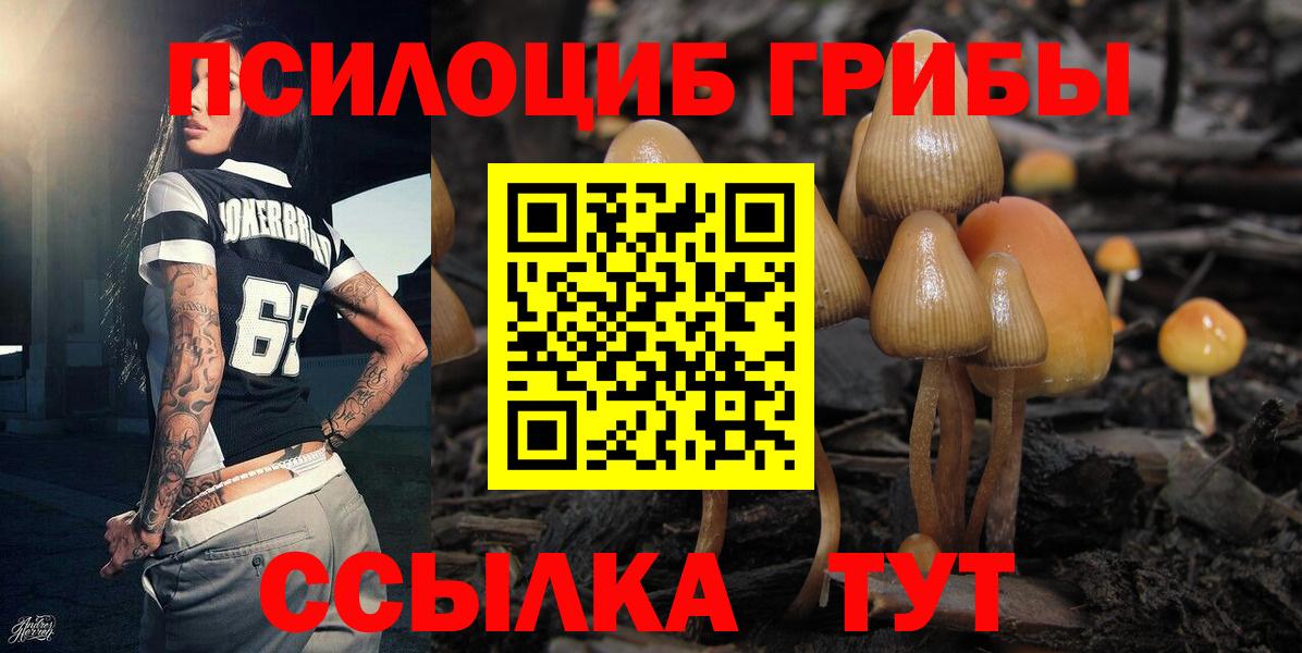 закладки  Вход с VPN  Омск  Галлюциногенные грибы ЛСД 